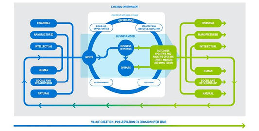 Case Study -Project Execution Systems Strategy for Mega Infrastructure Project